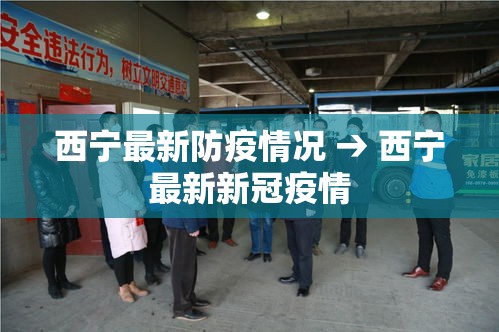 西宁最新防疫情况 → 西宁最新新冠疫情 西宁最新防疫情况 → 西宁最新新冠疫情