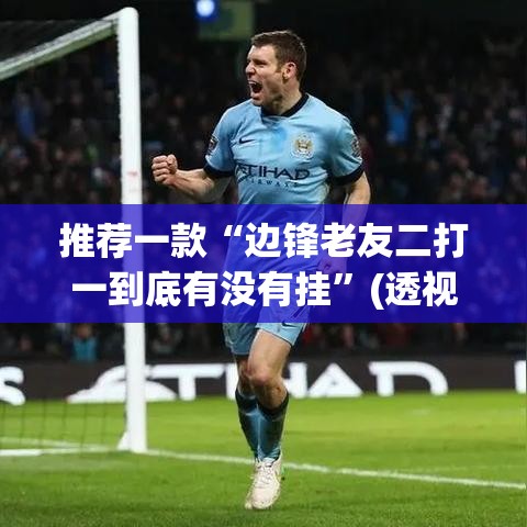 推荐一款“边锋老友二打一到底有没有挂”(透视挂)辅助透视教程