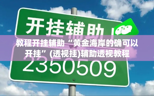 教程开挂辅助“黄金海岸的确可以开挂	”(透视挂)辅助透视教程