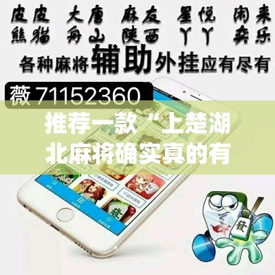 推荐一款“上楚湖北麻将确实真的有挂	”(透视挂)辅助透视教程