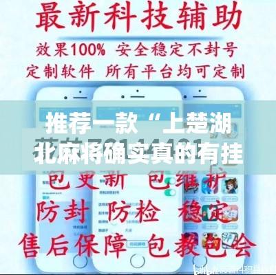 推荐一款“上楚湖北麻将确实真的有挂”(透视挂)辅助透视教程