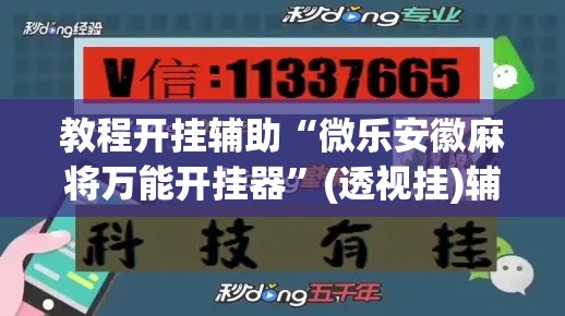 教程开挂辅助“微乐安徽麻将万能开挂器”(透视挂)辅助透视教程