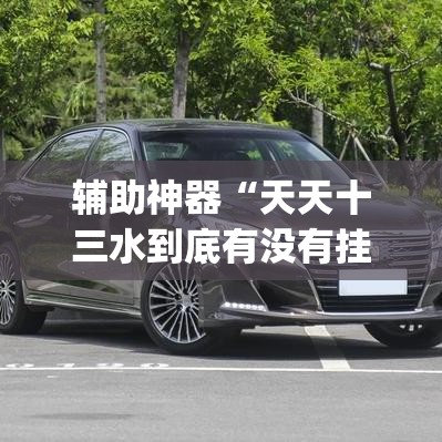 辅助神器“天天十三水到底有没有挂”(透视挂)辅助透视教程