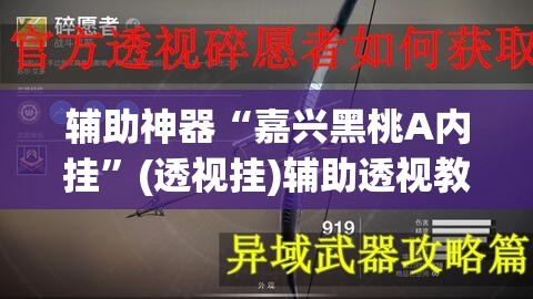 辅助神器“嘉兴黑桃A内挂”(透视挂)辅助透视教程