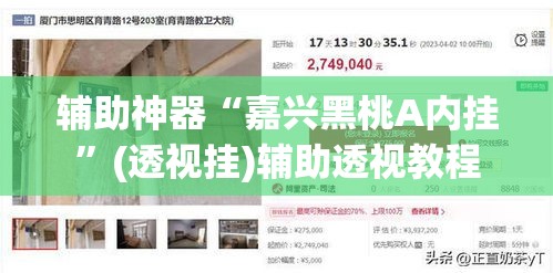 辅助神器“嘉兴黑桃A内挂”(透视挂)辅助透视教程