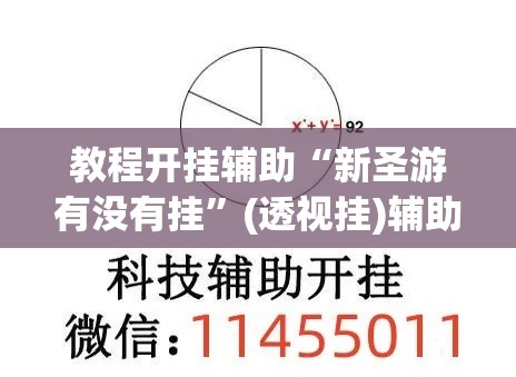 教程开挂辅助“新圣游有没有挂”(透视挂)辅助透视教程