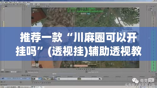 推荐一款“川麻圈可以开挂吗”(透视挂)辅助透视教程