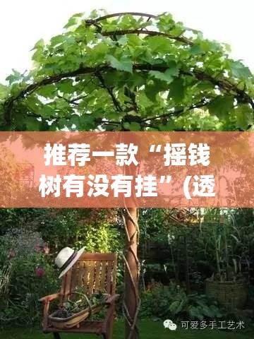 推荐一款“摇钱树有没有挂”(透视挂)辅助透视教程