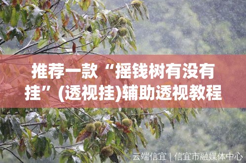 推荐一款“摇钱树有没有挂”(透视挂)辅助透视教程
