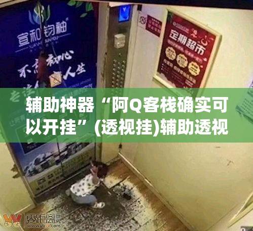 辅助神器“阿Q客栈确实可以开挂”(透视挂)辅助透视教程