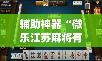 辅助神器“微乐江苏麻将有挂能查出来吗”(透视挂)辅助透视教程