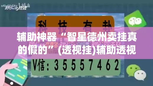 辅助神器“智星德州卖挂真的假的”(透视挂)辅助透视教程