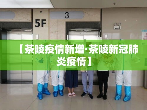 【茶陵疫情新增·茶陵新冠肺炎疫情】