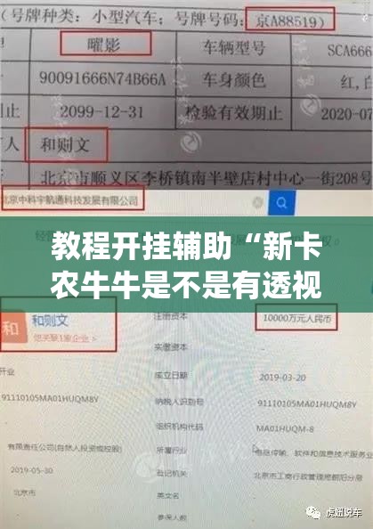 教程开挂辅助“新卡农牛牛是不是有透视挂”(透视挂)辅助透视教程