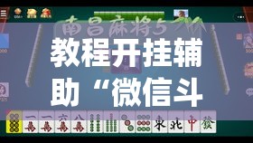 教程开挂辅助“微信斗地主小程序透视”(透视挂)辅助透视教程