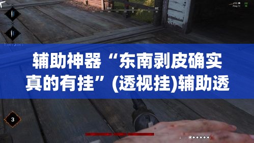 辅助神器“东南剥皮确实真的有挂”(透视挂)辅助透视教程