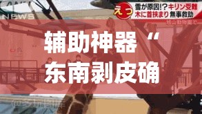 辅助神器“东南剥皮确实真的有挂	”(透视挂)辅助透视教程