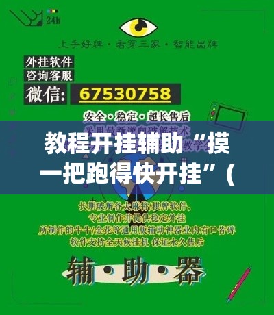 教程开挂辅助“摸一把跑得快开挂	”(透视挂)辅助透视教程
