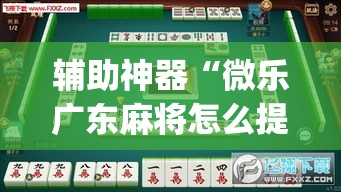 辅助神器“微乐广东麻将怎么提高胜率”(透视挂)辅助透视教程