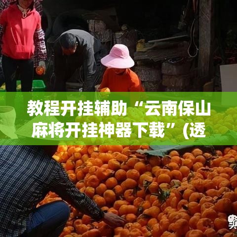 教程开挂辅助“云南保山麻将开挂神器下载”(透视挂)辅助透视教程