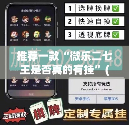 推荐一款“微乐二七王是否真的有挂”(透视挂)辅助透视教程