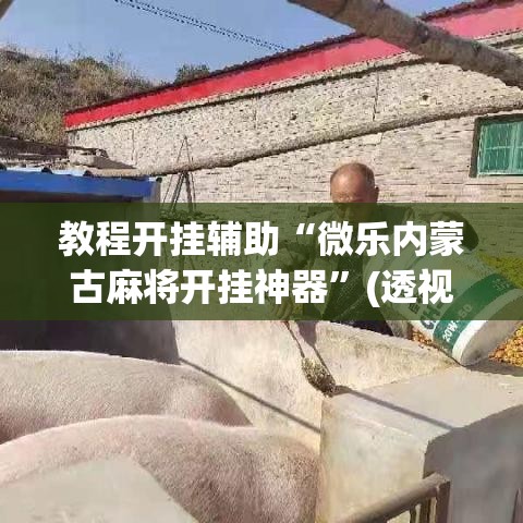教程开挂辅助“微乐内蒙古麻将开挂神器”(透视挂)辅助透视教程