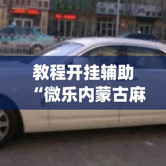 教程开挂辅助“微乐内蒙古麻将开挂神器	”(透视挂)辅助透视教程