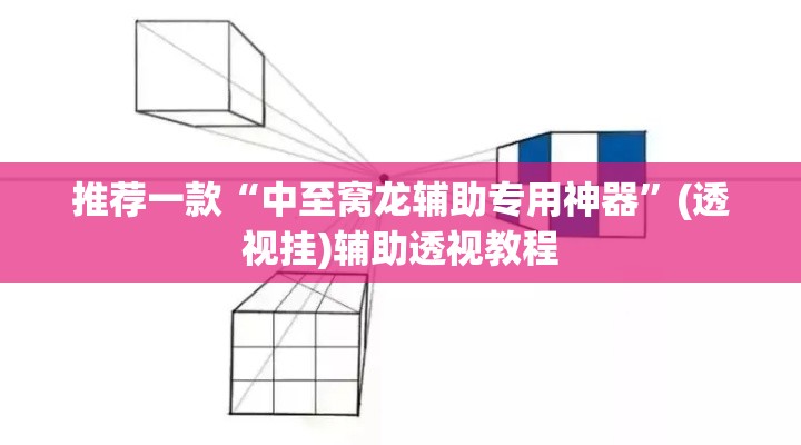 推荐一款“中至窝龙辅助专用神器”(透视挂)辅助透视教程