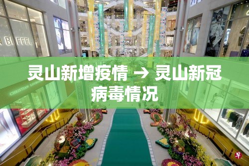 灵山新增疫情 → 灵山新冠病毒情况 灵山新增疫情 → 灵山新冠病毒情况