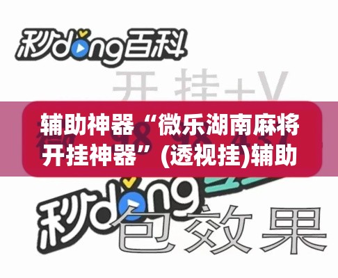 辅助神器“微乐湖南麻将开挂神器”(透视挂)辅助透视教程