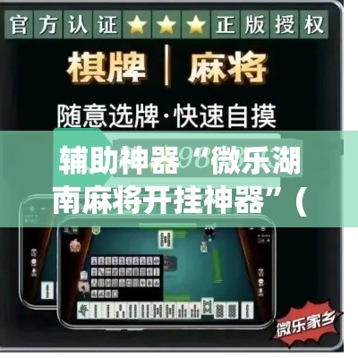辅助神器“微乐湖南麻将开挂神器”(透视挂)辅助透视教程
