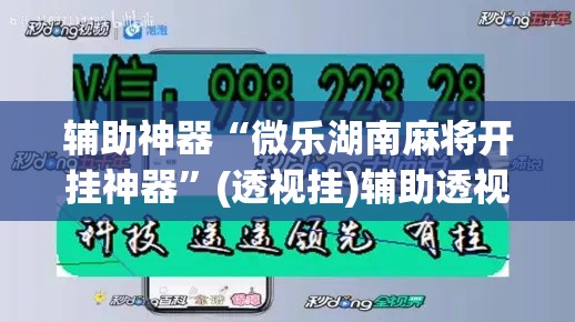 辅助神器“微乐湖南麻将开挂神器	”(透视挂)辅助透视教程