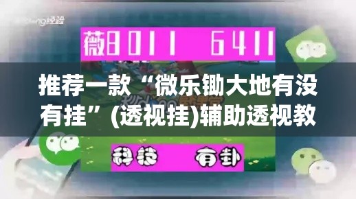 推荐一款“微乐锄大地有没有挂	”(透视挂)辅助透视教程