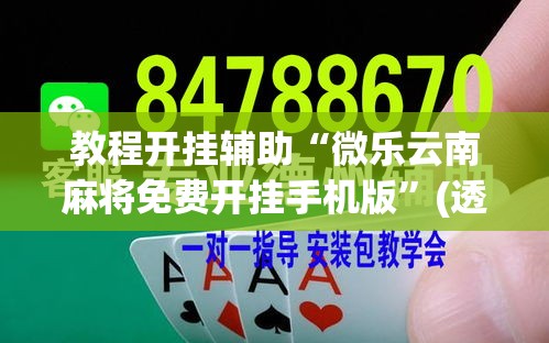 教程开挂辅助“微乐云南麻将免费开挂手机版”(透视挂)辅助透视教程