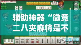 辅助神器“微竞二八夹麻将是不是有挂”(透视挂)辅助透视教程