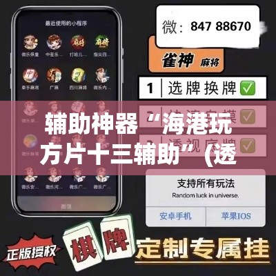 辅助神器“海港玩方片十三辅助	”(透视挂)辅助透视教程