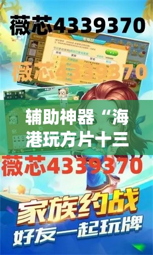 辅助神器“海港玩方片十三辅助”(透视挂)辅助透视教程