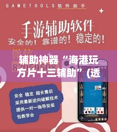 辅助神器“海港玩方片十三辅助”(透视挂)辅助透视教程