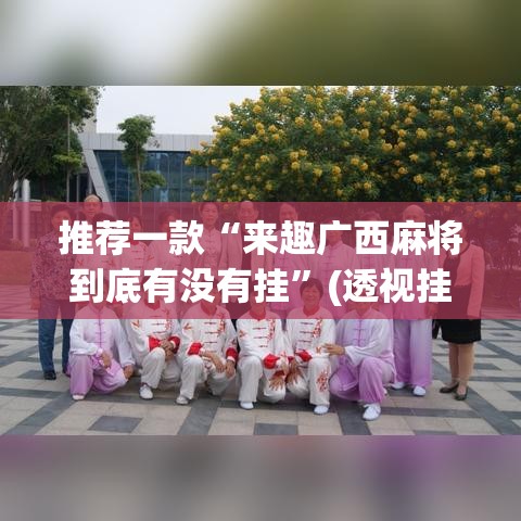 推荐一款“来趣广西麻将到底有没有挂”(透视挂)辅助透视教程