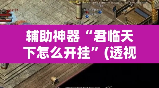 辅助神器“君临天下怎么开挂”(透视挂)辅助透视教程