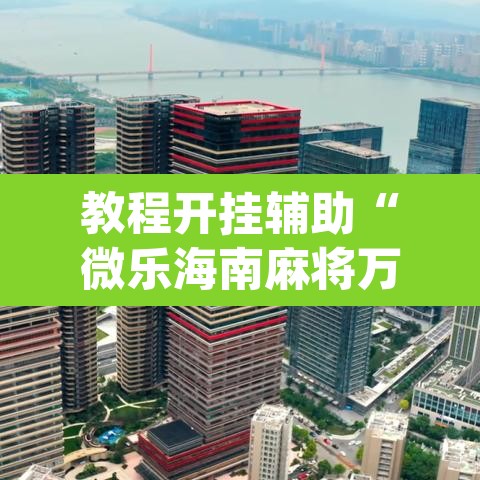 教程开挂辅助“微乐海南麻将万能开挂器免费”(透视挂)辅助透视教程