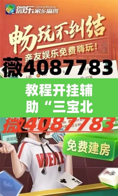 教程开挂辅助“三宝北京麻将可以透明吗	”(透视挂)辅助透视教程