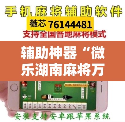 辅助神器“微乐湖南麻将万能开挂器通用版”(透视挂)辅助透视教程