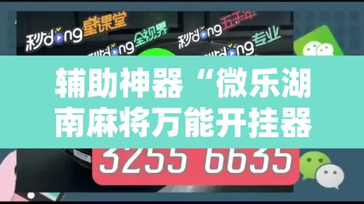 辅助神器“微乐湖南麻将万能开挂器通用版	”(透视挂)辅助透视教程