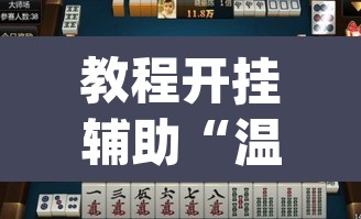教程开挂辅助“温岭逸趣麻将神器开挂”(透视挂)辅助透视教程