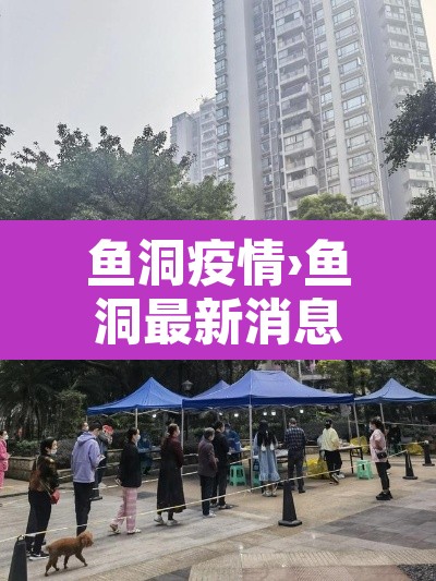 鱼洞疫情›鱼洞最新消息