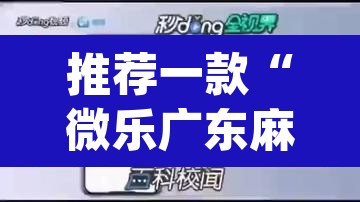 推荐一款“微乐广东麻将万能开挂器	”(透视挂)辅助透视教程