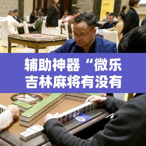辅助神器“微乐吉林麻将有没有挂”(透视挂)辅助透视教程