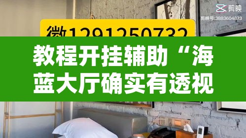教程开挂辅助“海蓝大厅确实有透视挂”(透视挂)辅助透视教程