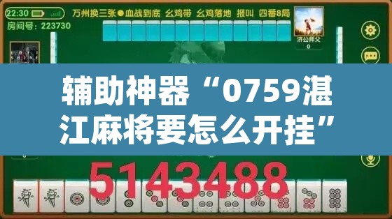 辅助神器“0759湛江麻将要怎么开挂”(透视挂)辅助透视教程